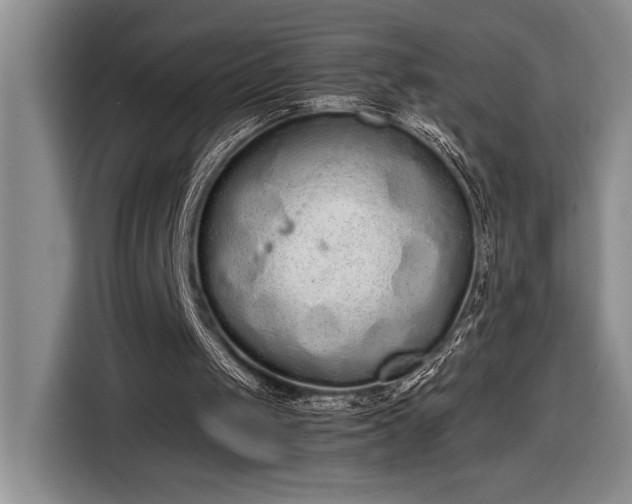 X0000116860049200912221146