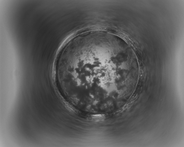 X0000116860053200912221146