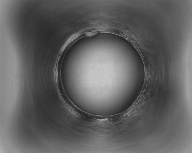 X0000116860054200912221146