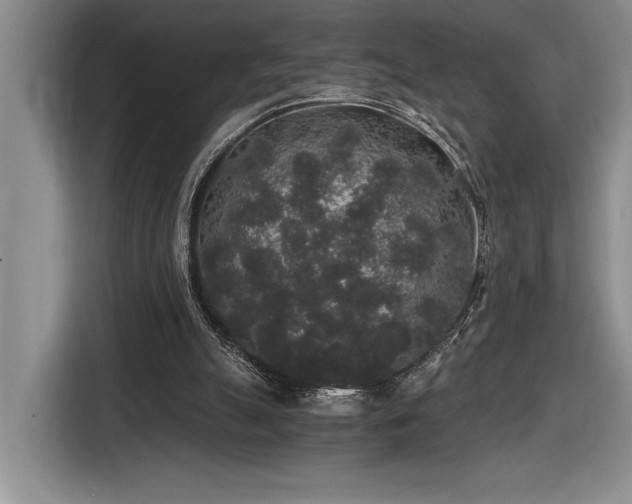 X0000116860055200912221146