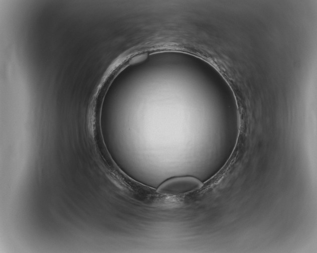 X0000116860056200912221146
