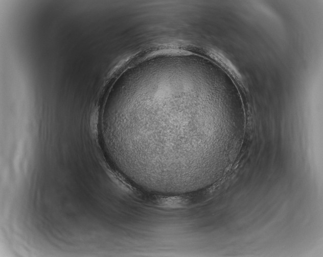 X0000116860058200912221147