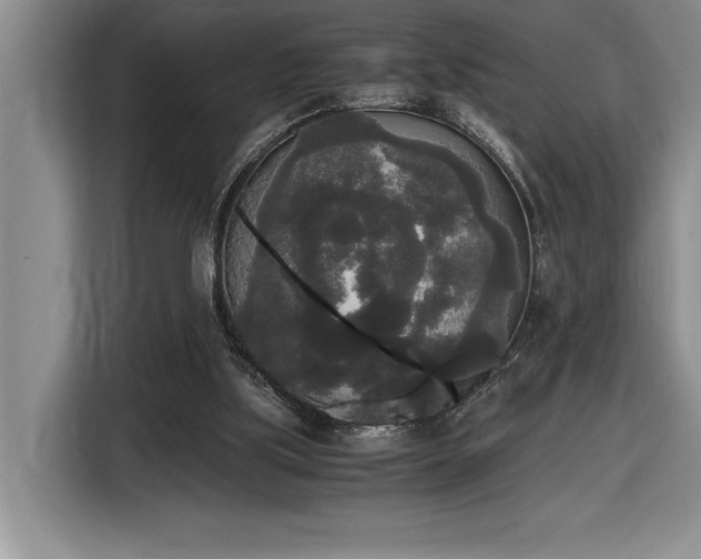 X0000116860059200912221147