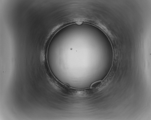 X0000116860060200912221147