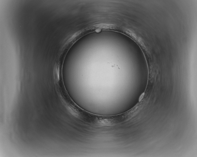 X0000116860062200912221147