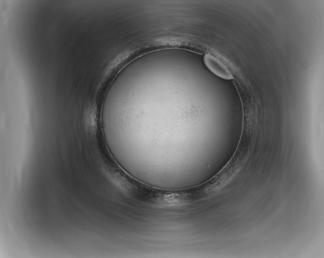 X0000116860064200912221147