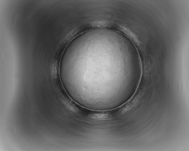 X0000116860065200912221147