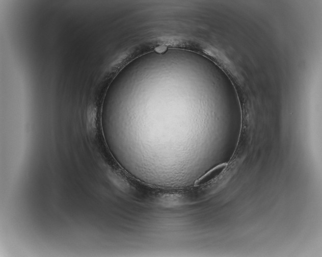 X0000116860066200912221147