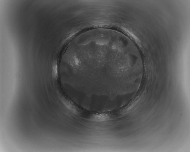 X0000116860067200912221147