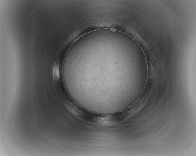 X0000116860068200912221147