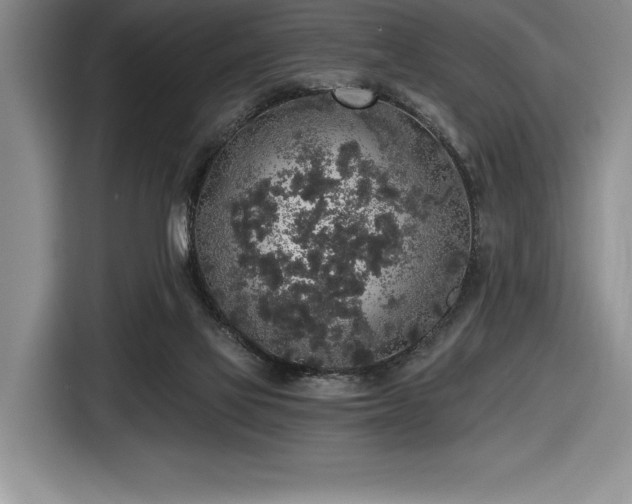 X0000116860069200912221147