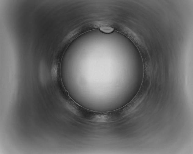 X0000116860071200912221147