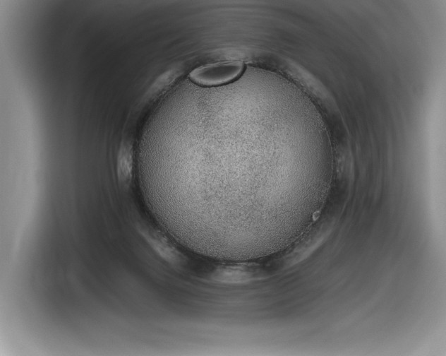 X0000116860072200912221147
