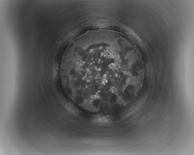 X0000116860073200912221147