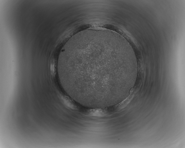 X0000116860074200912221147