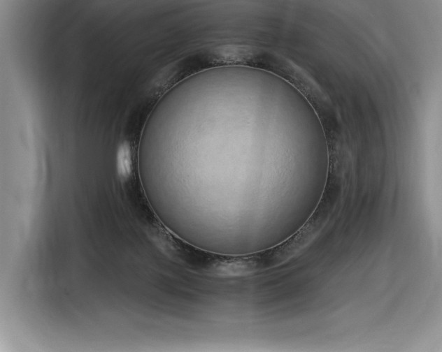 X0000116860075200912221147