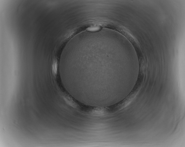 X0000116860076200912221147