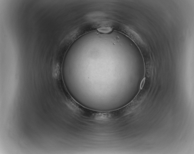 X0000116860077200912221147