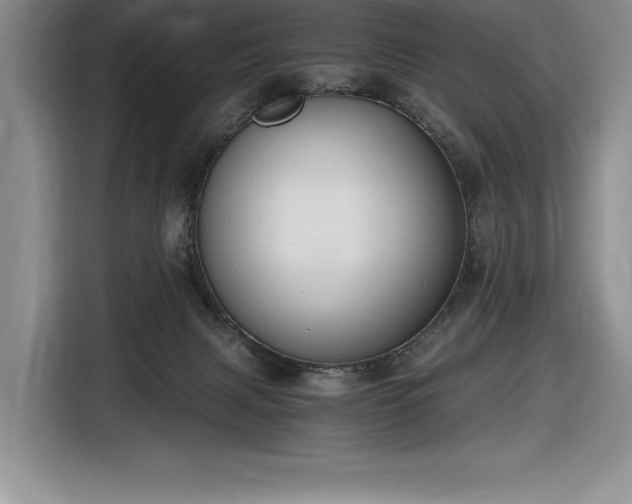 X0000116860079200912221147
