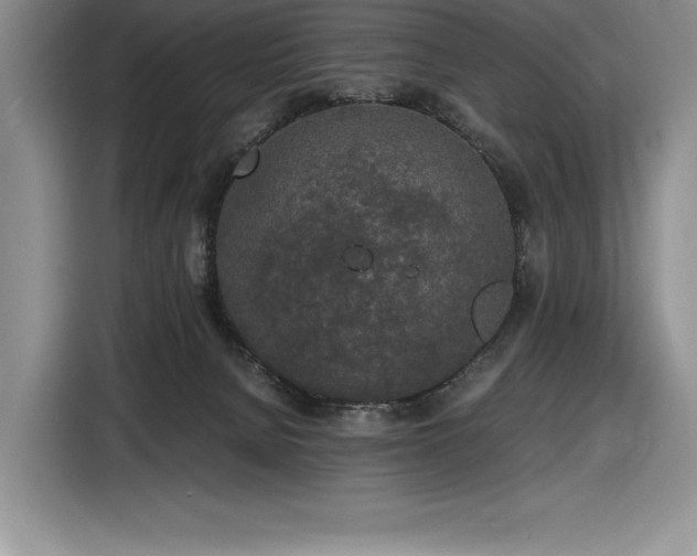 X0000116860080200912221147