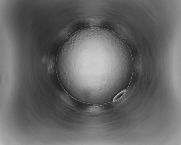 X0000116860082200912221147