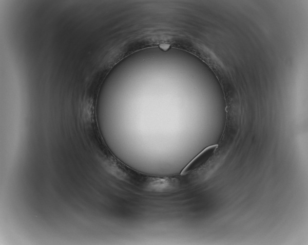 X0000116860083200912221147