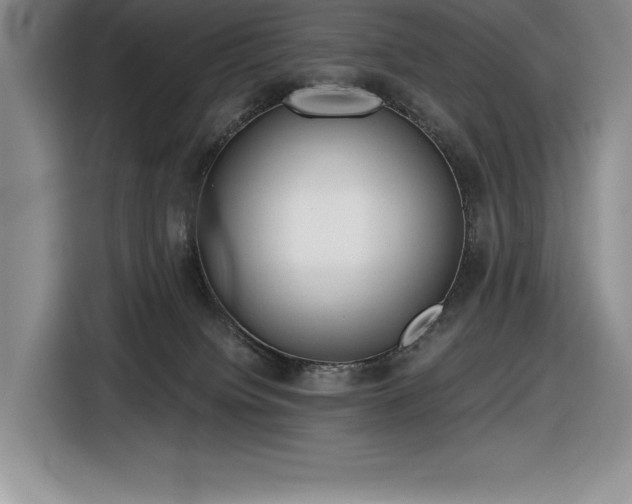 X0000116860084200912221147