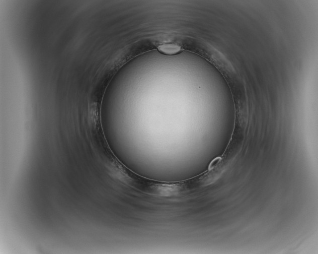 X0000116860085200912221147