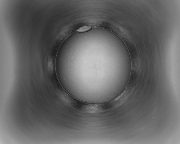 X0000116860086200912221147