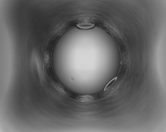 X0000116860087200912221147