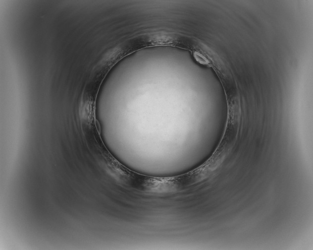 X0000116860093200912221147