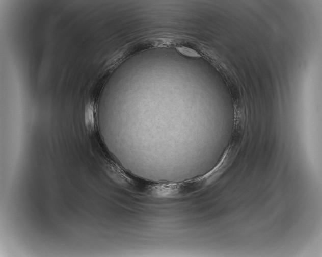 X0000116860094200912221147