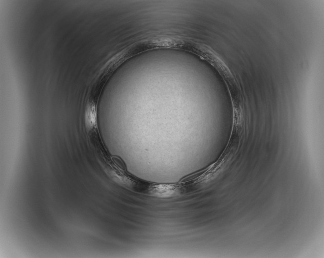 X0000116860095200912221147