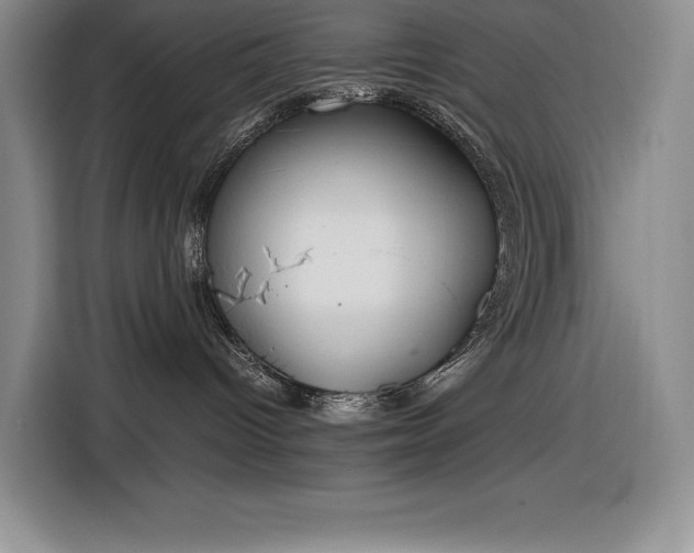 X0000116860096200912221147
