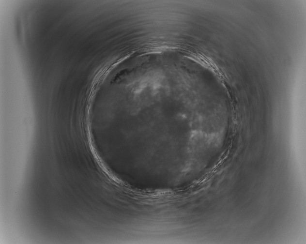 X0000116860097200912221146