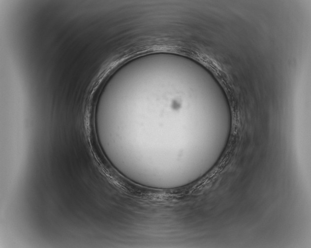 X0000116860098200912221146
