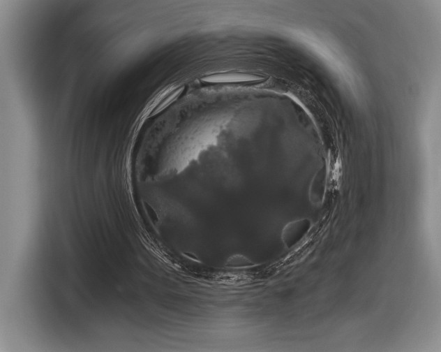 X0000116860099200912221146