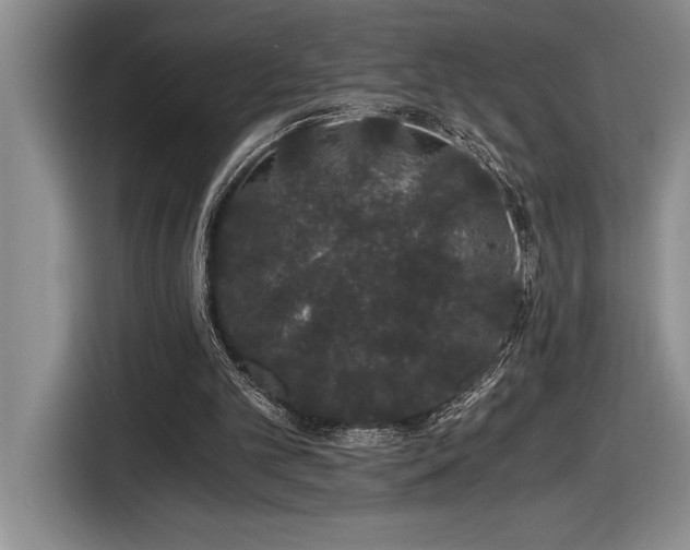 X0000116860101200912221146
