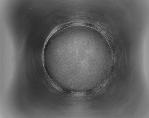 X0000116860102200912221146