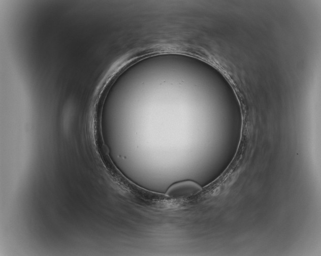 X0000116860103200912221146