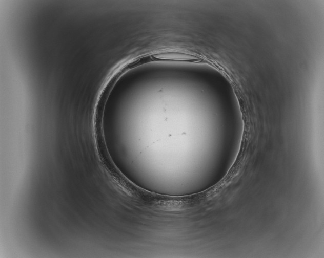 X0000116860104200912221146