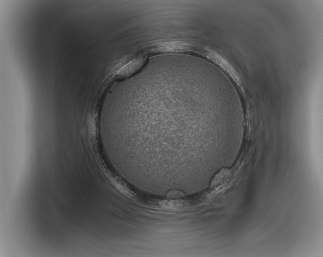 X0000116860105200912221146