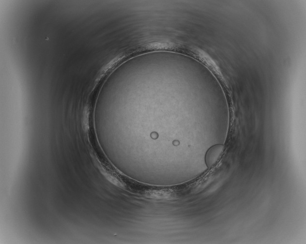 X0000116860106200912221146