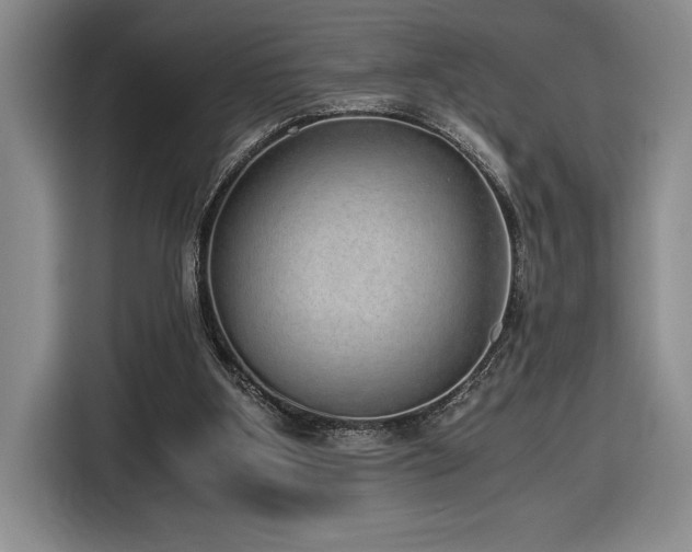 X0000116860107200912221146