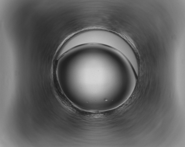 X0000116860108200912221146