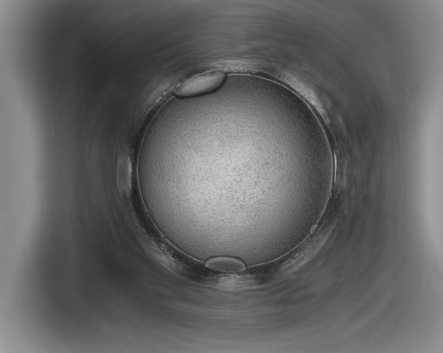 X0000116860109200912221146