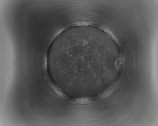 X0000116860110200912221146