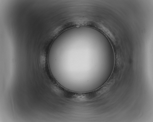 X0000116860113200912221146
