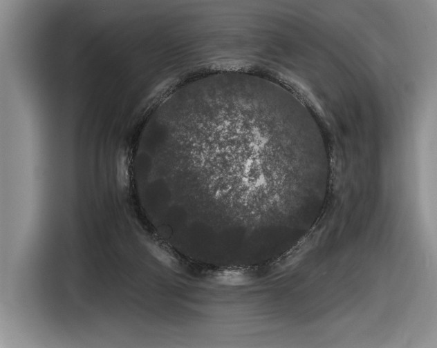 X0000116860114200912221146