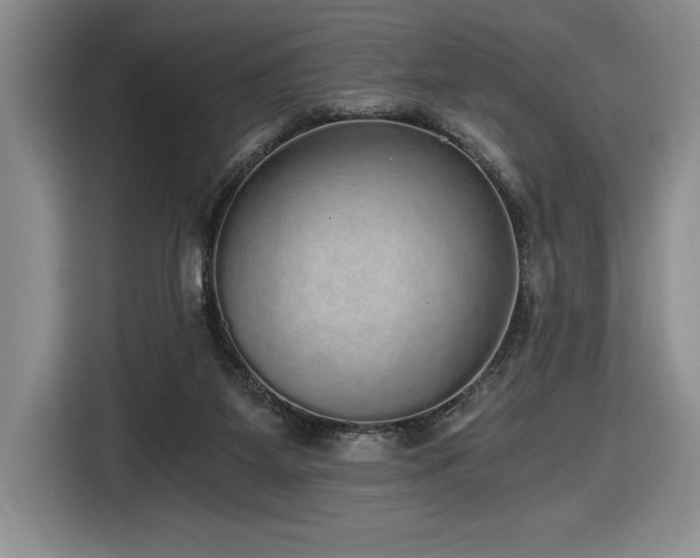 X0000116860115200912221146